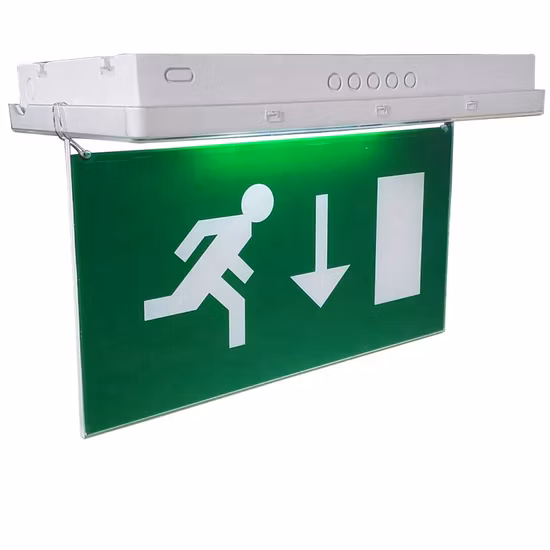 El techo del CE RoHS 5W ahuecó la muestra recargable de la salida de emergencia del LED IP65